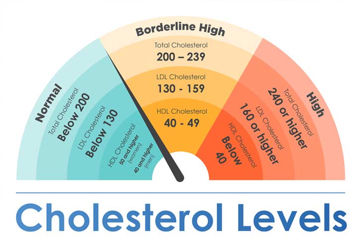 Cholesterol